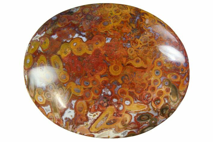 Colorful, Polished Petrified Palm Root - Indonesia #150285